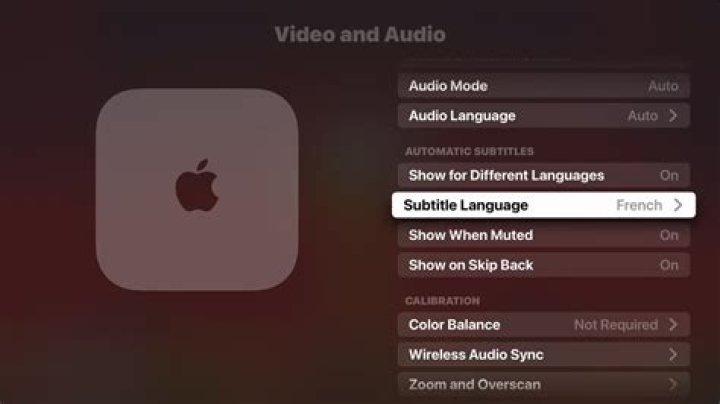 Subtitle and audio track options